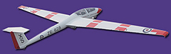 FlyFly ASK-21 Air Cadets 2.6m Electric Glider FF-B019E