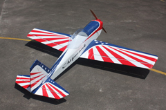Goldwing ARF Super Chipmunk 30CC 80''/2035mm Gas/Electric RC Airplane B