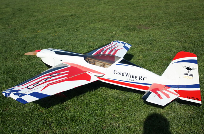 goldwing rc plane