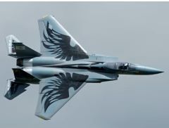 F-15 Oregon National Guard Twin 40mm EDF Jet RC Plane PNP